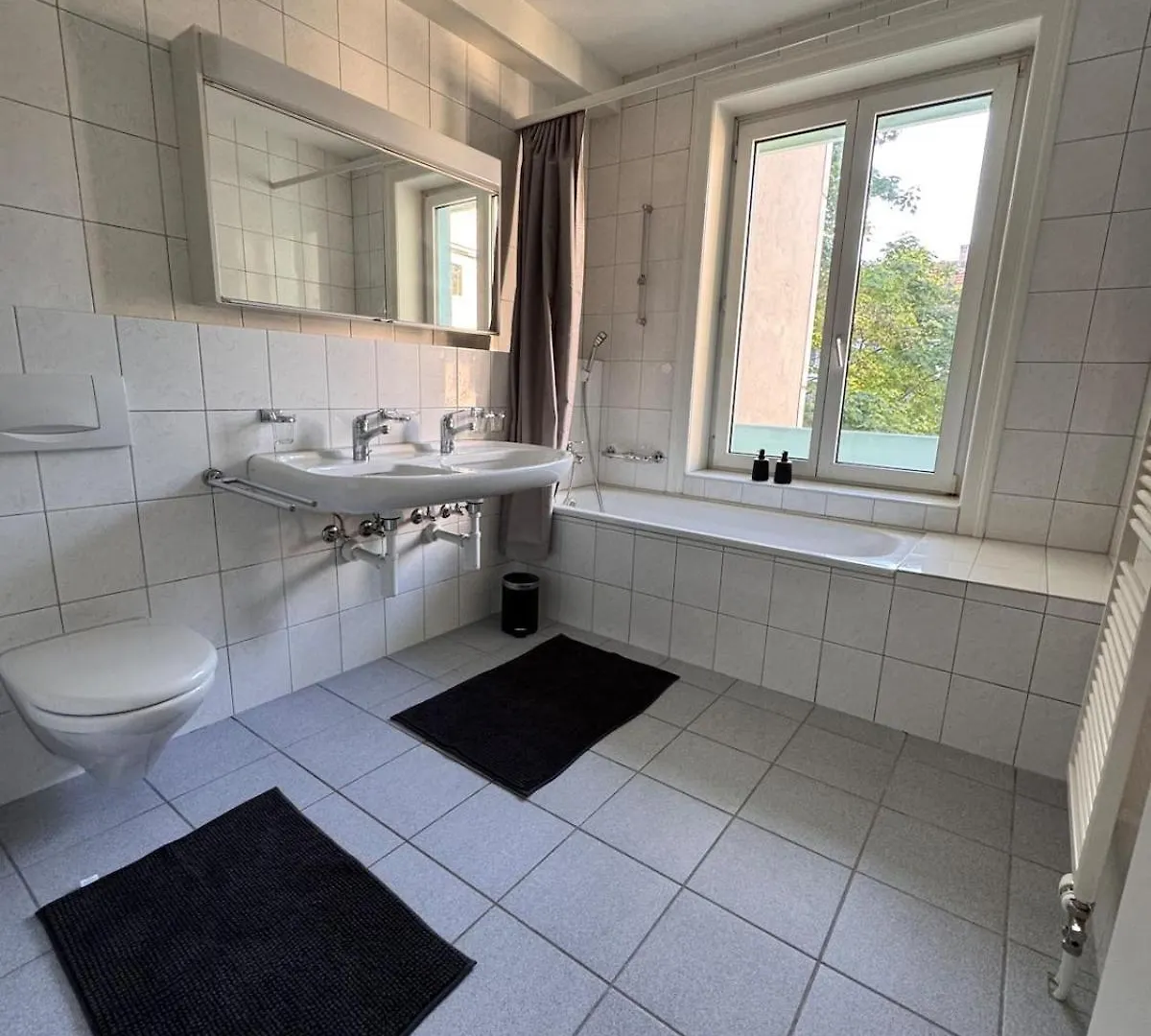 Big, Bright, Central Near Exhibition Center Basel Apartment