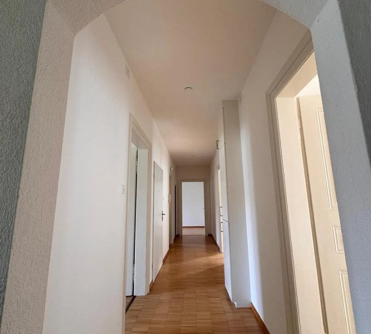 Apartment Big, Bright, Central Near Exhibition Center Basel Switzerland